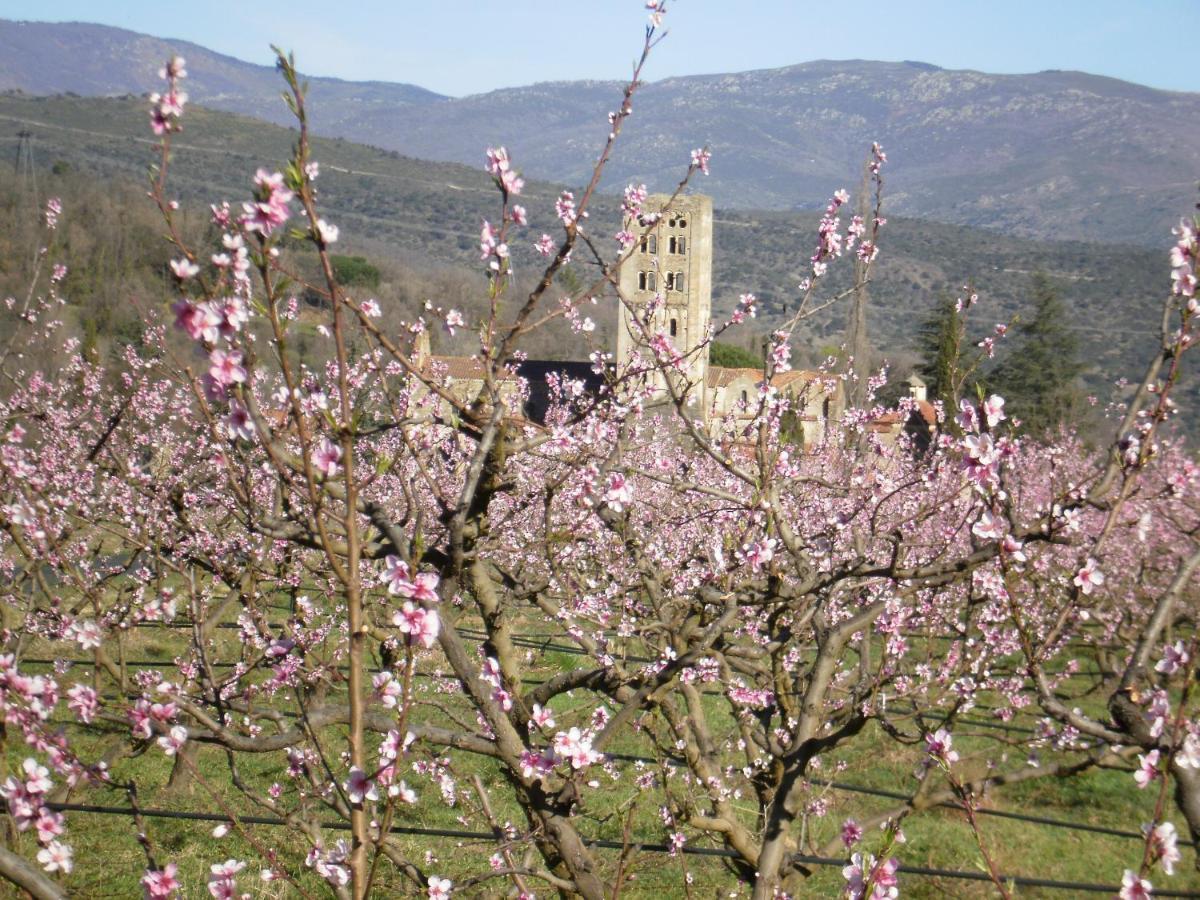 Catalane 412, Ideale Rando Vernet-les-Bains Εξωτερικό φωτογραφία